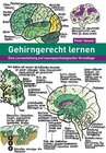 Buchcover Gehirngerecht lernen (E-Book)