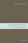 Buchcover Interrogating Interstices