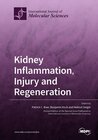 Buchcover Kidney Inflammation, Injury and Regeneration