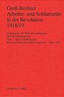 Buchcover Groß-Berliner Arbeiter- und Soldatenräte in der Revolution 1918/19