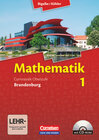 Buchcover Bigalke/Köhler: Mathematik - Brandenburg - Ausgabe 2013 - Band 1