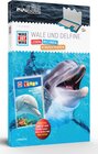 Buchcover miniLÜK-Set