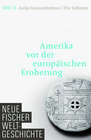 Buchcover Neue Fischer Weltgeschichte. Band 16