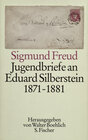 Buchcover Jugendbriefe an Eduard Silberstein 1871-1881