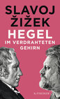Buchcover Hegel im verdrahteten Gehirn
