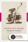 Buchcover Sturm und Drang