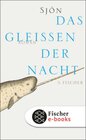 Buchcover Das Gleißen der Nacht