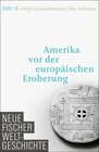 Buchcover Neue Fischer Weltgeschichte. Band 16