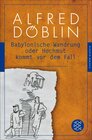 Buchcover Babylonische Wandrung oder Hochmut kommt vor dem Fall