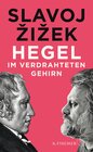 Buchcover Hegel im verdrahteten Gehirn