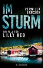 Buchcover Im Sturm