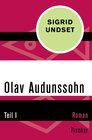 Buchcover Olav Audunssohn
