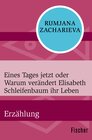 Buchcover Eines Tages jetzt oder Warum verändert Elisabeth Schleifenbaum ihr Leben