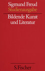 Buchcover Bildende Kunst und Literatur