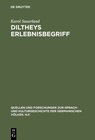 Buchcover Diltheys Erlebnisbegriff