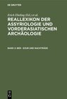 Buchcover Reallexikon der Assyriologie und Vorderasiatischen Archäologie / Ber - Ezur und Nachträge