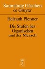 Buchcover Die Stufen des Organischen und der Mensch