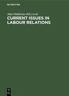 Buchcover Current Issues in Labour Relations