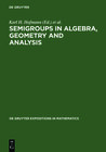 Semigroups in Algebra, Geometry and Analysis width=