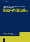 Buchcover Blow-up in Nonlinear Sobolev Type Equations