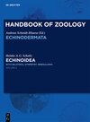 Buchcover Handbook of Zoology. Echinoidea / Echinoidea