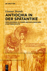 Buchcover Antiochia in der Spätantike