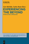 Buchcover Experiencing the Beyond