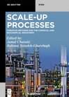 Buchcover Scale-Up Processes