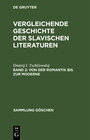Buchcover Dmitrij Tschižewskij: Vergleichende Geschichte der slavischen Literaturen / Von der Romantik bis zur Moderne
