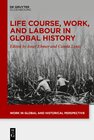 Buchcover Life Course, Work, and Labour in Global History