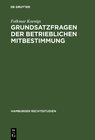 Buchcover Grundsatzfragen der betrieblichen Mitbestimmung