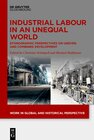 Buchcover Industrial Labour in an Unequal World
