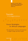 Buchcover Focus Strategies in African Languages