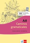 Buchcover Caminos gramaticales A2