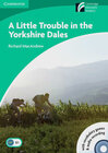 Buchcover A Little Trouble in the Yorkshire Dales