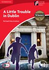 Buchcover A Little Trouble in Dublin