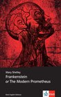 Buchcover Frankenstein or The Modern Prometheus