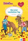 Buchcover Bibi & Tina: Ein total verrückter Tag