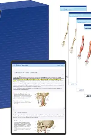 Buchcover ISBN 9783132451469