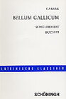 Buchcover Bellum Gallicum
