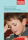 Buchcover Praxis Pädagogik / Erkennen und fördern mathematisch begabter Kinder