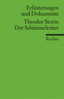 Buchcover Erläuterungen und Dokumente zu Theodor Storm: Der Schimmelreiter