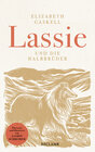 Buchcover Lassie und die Halbbrüder