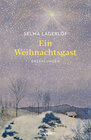 Buchcover Ein Weihnachtsgast. Erzählungen