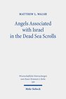 Buchcover Angels Associated with Israel in the Dead Sea Scrolls