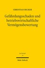 Buchcover Gefährdungsschaden und betriebswirtschaftliche Vermögensbewertung