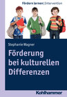 Buchcover Förderung bei kulturellen Differenzen