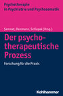 Buchcover Der psychotherapeutische Prozess