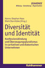 Buchcover Diversität und Identität