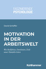 Buchcover Motivation in der Arbeitswelt